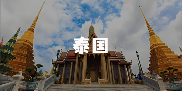 泰国出海交流群