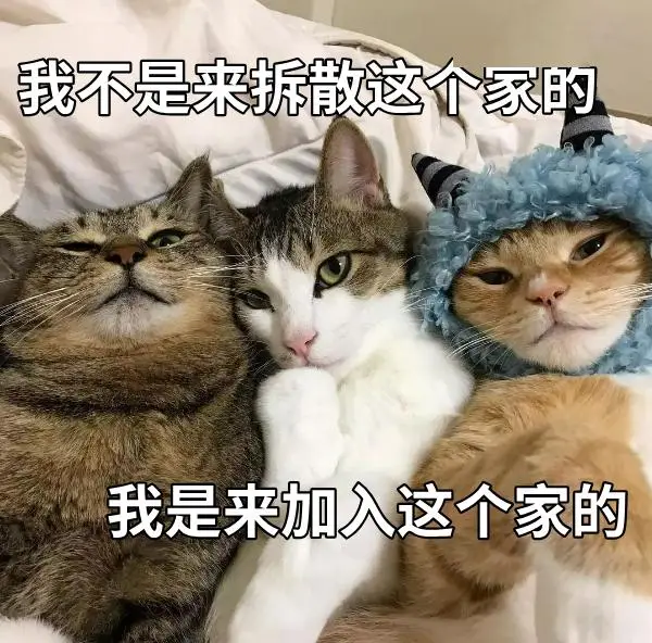 b4990529e5db0d737c9924a2c692a486.png