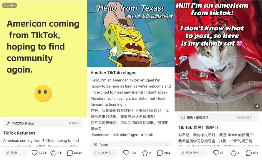 dd951e63f6c1326af53ccf860f7865cf.png