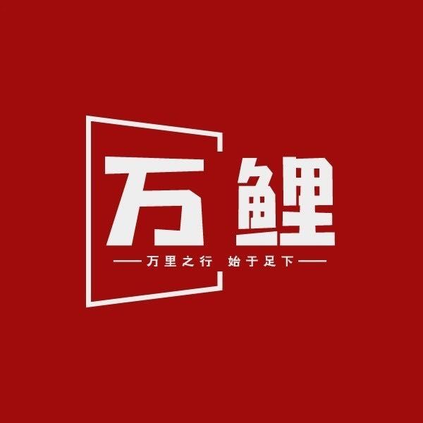 万鲤出海企业服务