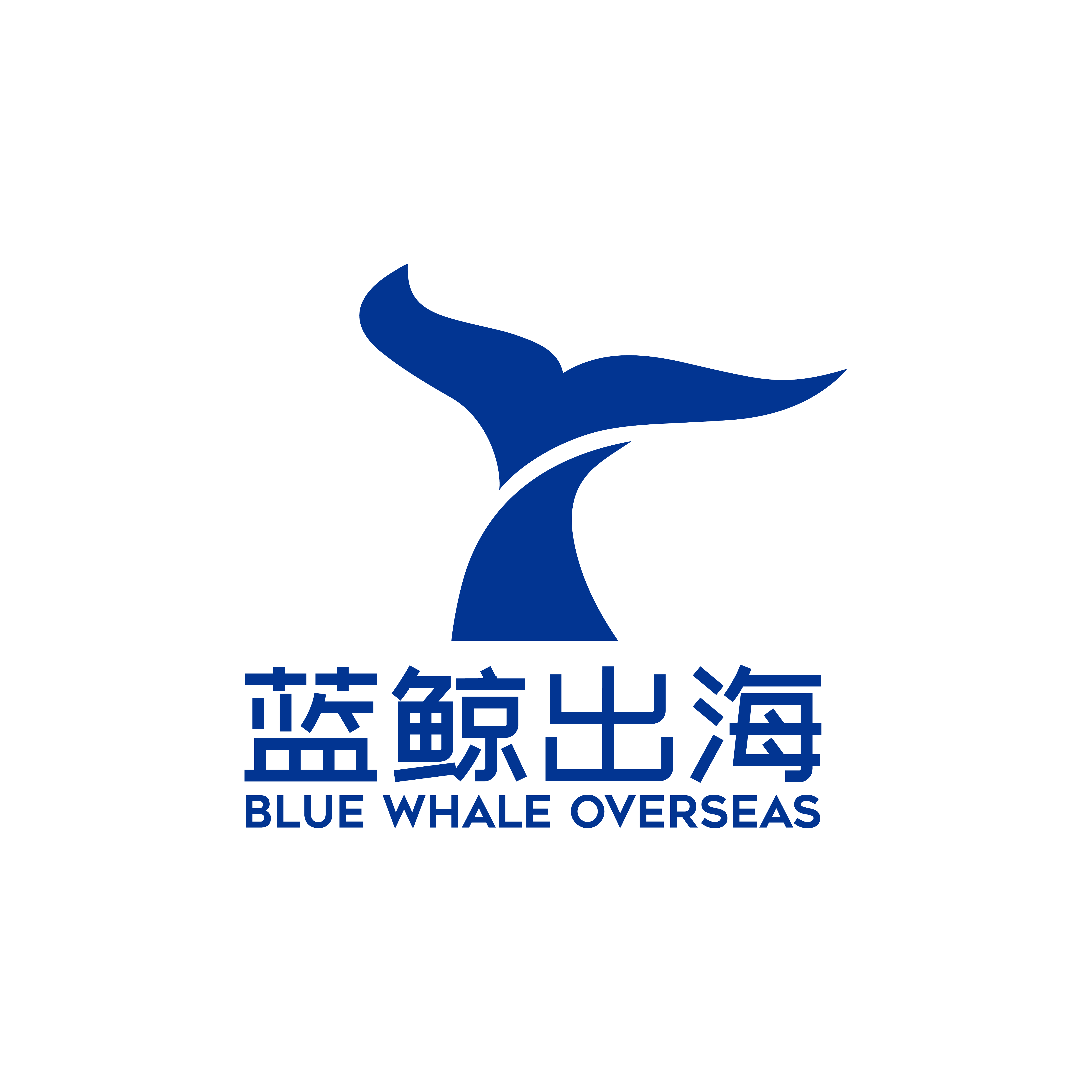 蓝鲸出海企业服务有限公司