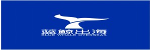 蓝鲸出海企业服务有限公司